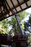 Articulated Ladder Truck